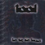 Lateralus Tool album lyrics