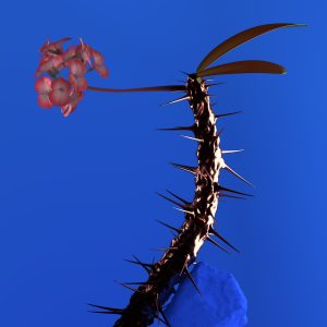 Skin Companion EP II Flume album lyrics